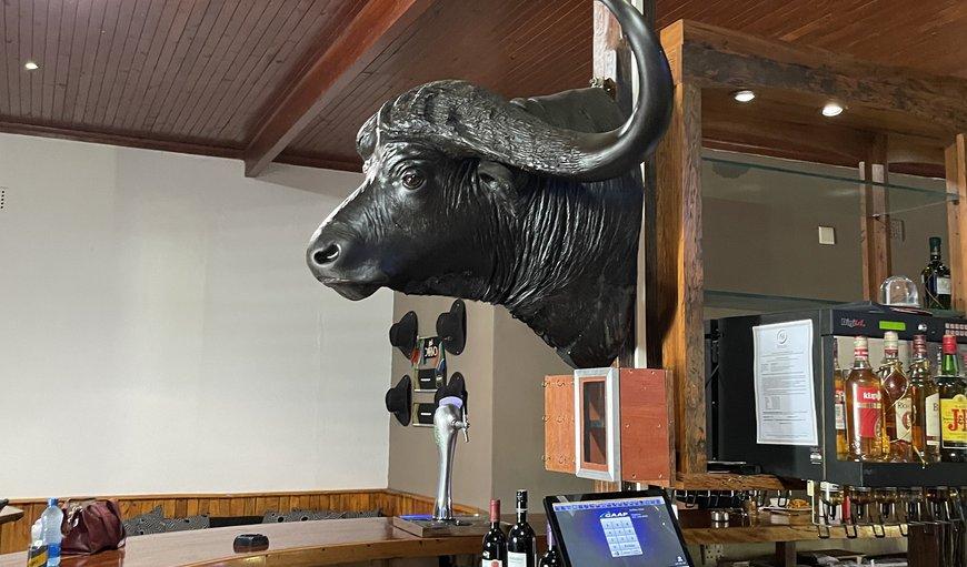 Buffalo Hotel Hectorspruit Εξωτερικό φωτογραφία