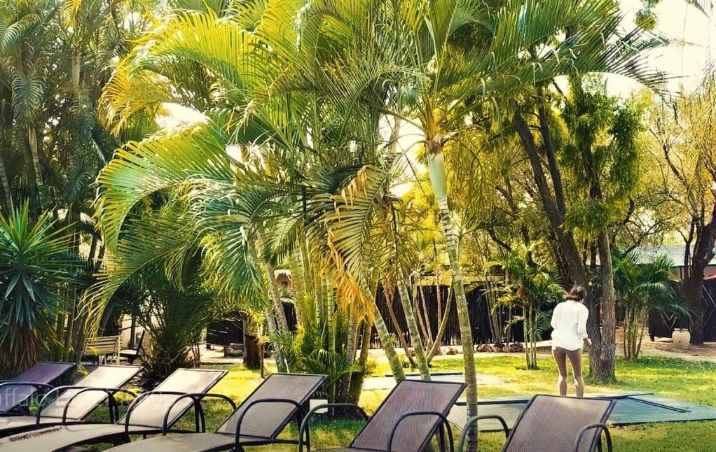 Buffalo Hotel Hectorspruit Εξωτερικό φωτογραφία